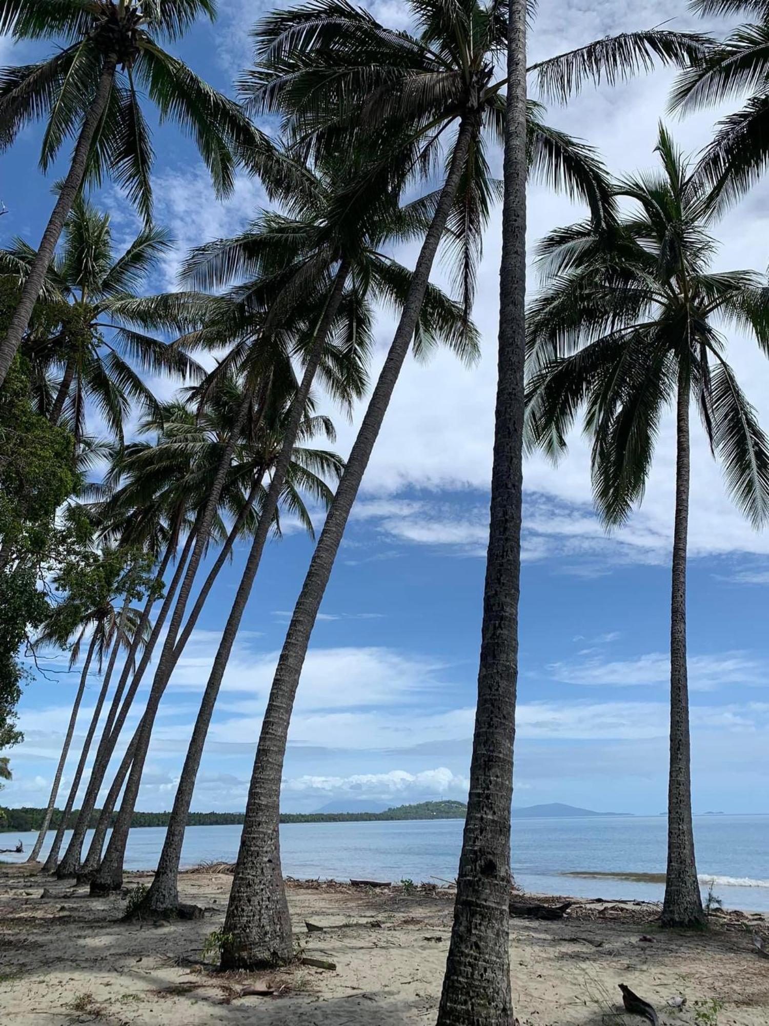 Modern 2 Bedroom Townhouse - Four Mile Beach Escapes Port Douglas Eksteriør billede
