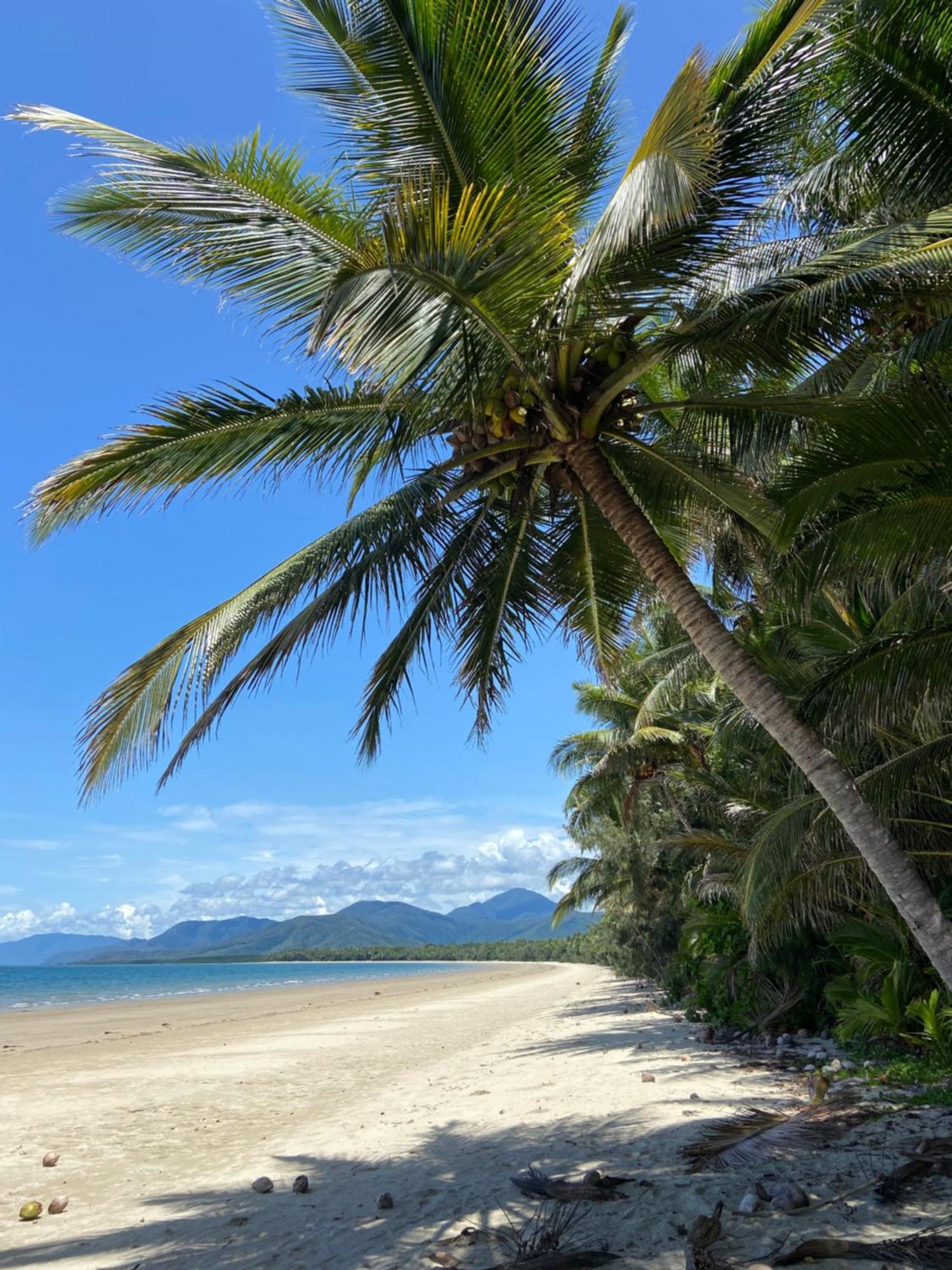 Modern 2 Bedroom Townhouse - Four Mile Beach Escapes Port Douglas Eksteriør billede